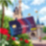 An In-Depth Guide to the Disney Visa Credit Card Introduction