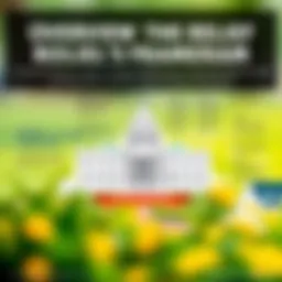 A visual representation of the Congress Mortgage Stimulus Relief Program