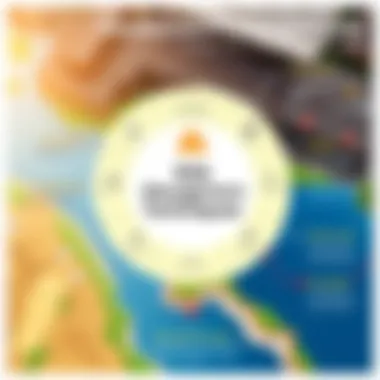 A strategic diagram highlighting risk management techniques in investments