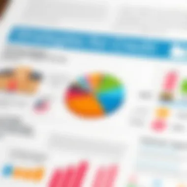 Strategies for Credit Utilization A pie chart showing credit utilization strategies