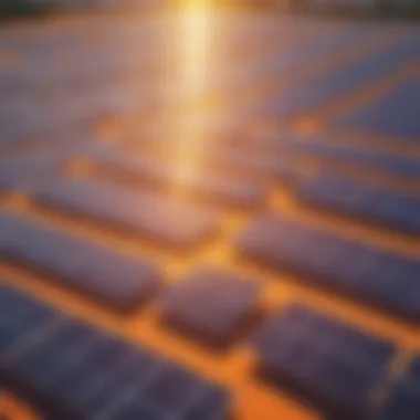 A solar panel farm harnessing sunlight for energy generation