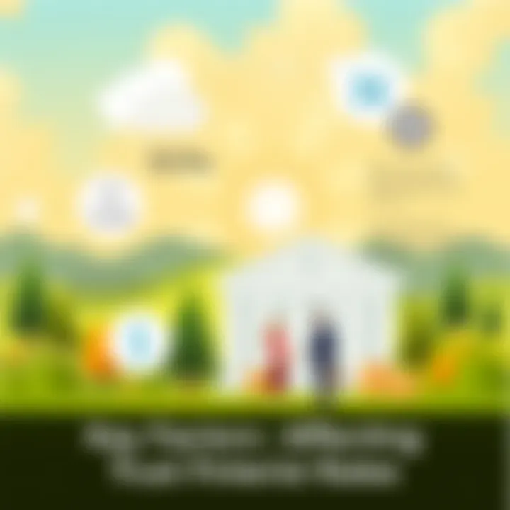 Factors influencing interest rates in trust funds