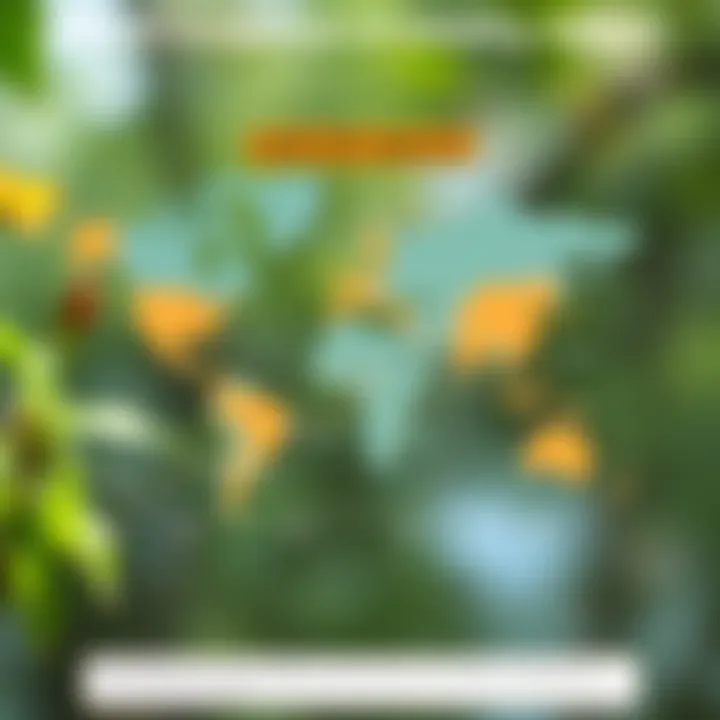 Comparison chart between India VIX and other global volatility indices