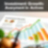 Investment Growth Overview Visual representation of investment growth