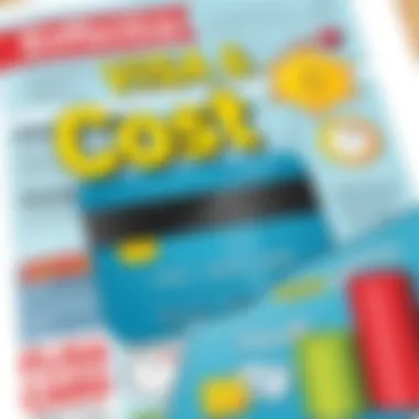 Effective Management of Visa Card Costs and Benefits Managing Visa card expenses and rewards