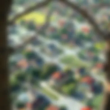 Neighborhood Dynamics and Their Effects on Resale Value Aerial view of neighborhoods influencing market trends