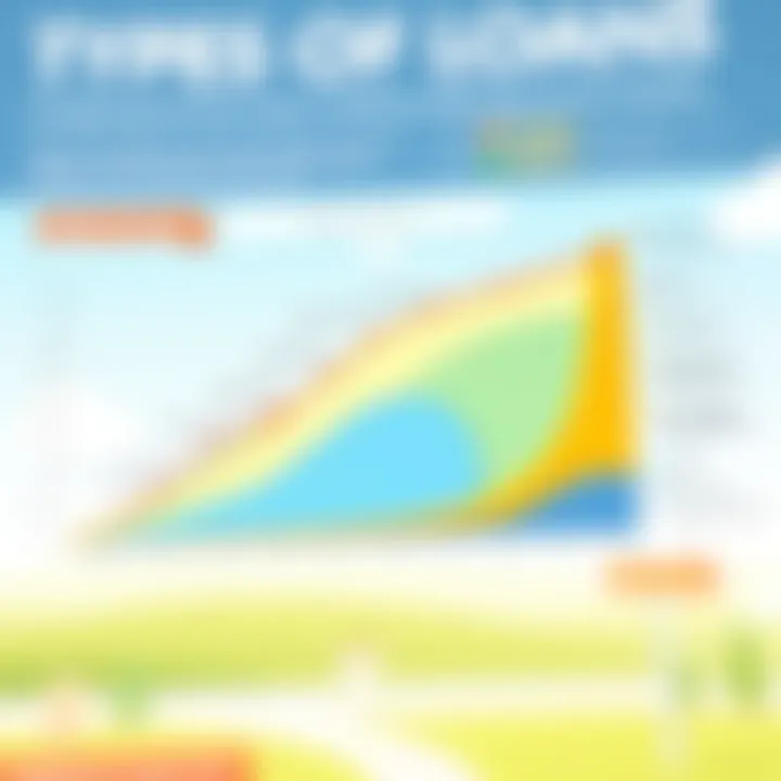 Types of Loans Overview Graph showing types of loans available