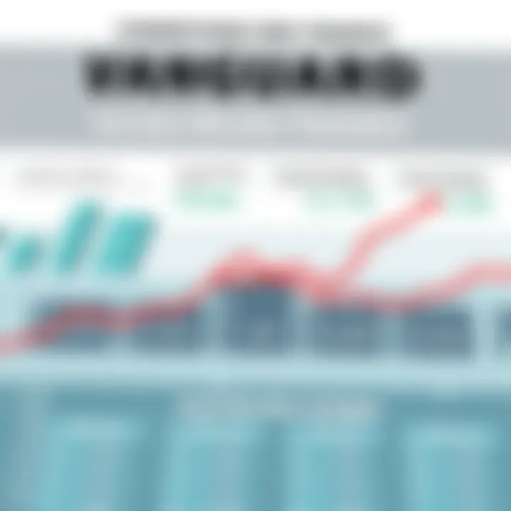 Infographic depicting asset allocation strategies