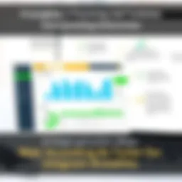 Wave Accounting Dashboard Overview